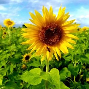 Meet your Posher, Meagan